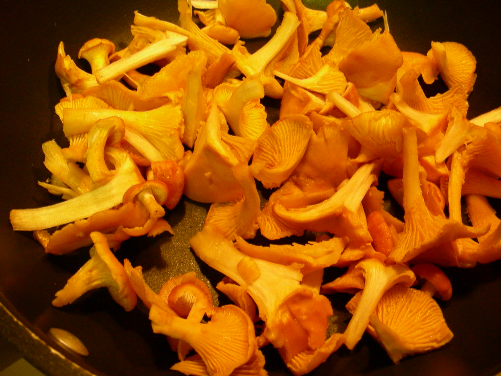 Cantharellus cibarius?